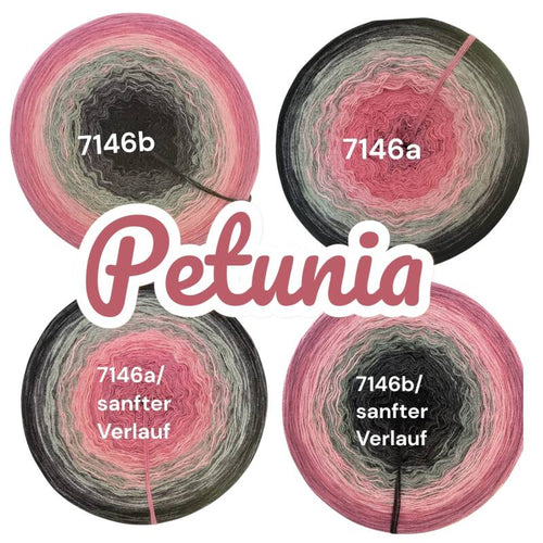 Blütenzauber - Petunia - 7146 - Bobbel mit Farbverlauf - 3, 4 oder 5 Fäden, auch als Pullover- oder Decken Set