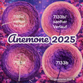 Blütenzauber - Anemone 2025 - 7133 - Bobbel mit Farbverlauf - 3, 4 oder 5 Fäden, auch als Pullover- oder Decken Set
