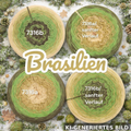 Inseln / Urlaub / Reiseorte - Brasilien - 7316 - Bobbel mit Farbverlauf - 3, 4 oder 5 Fäden, auch als Pullover- oder Decken Set