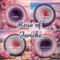 Kalahari - Rose of Jericho - 7099 - Bobbel mit Farbverlauf - 3, 4 oder 5 Fäden, auch als Pullover- oder Decken Set