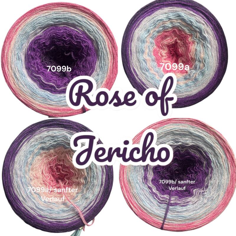 Kalahari - Rose of Jericho - 7099 - Bobbel mit Farbverlauf - 3, 4 oder 5 Fäden, auch als Pullover- oder Decken Set