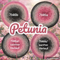 Blütenzauber - Petunia - 7146 - Bobbel mit Farbverlauf - 3, 4 oder 5 Fäden, auch als Pullover- oder Decken Set