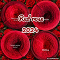 Rosen - Red Rose 2024 -7005  - Bobbel mit Farbverlauf - 3, 4 oder 5 Fäden, auch als Pullover- oder Decken Set